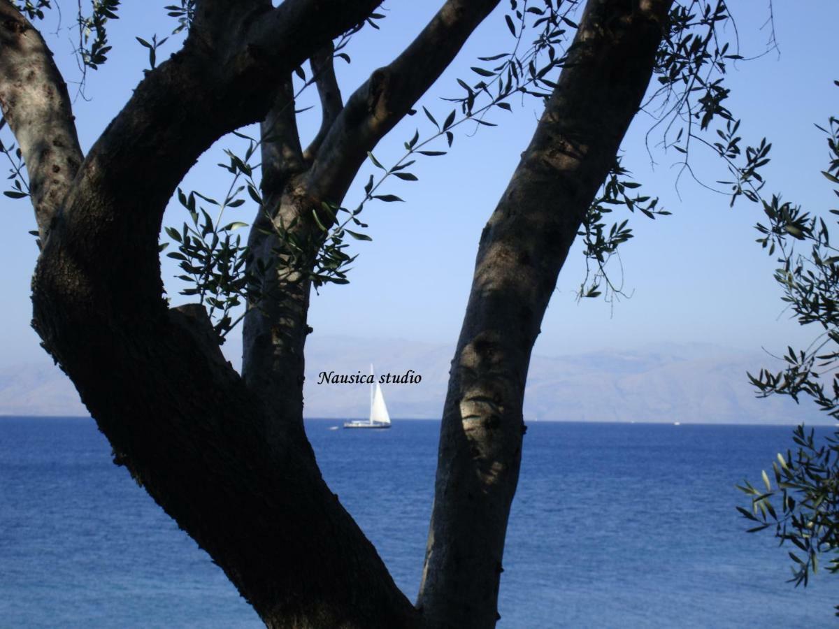Studio Nausica... A Sense Of Paradise! Agia Pelagia Chlomou Luaran gambar